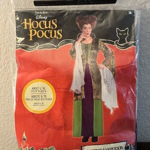Disney Hocus Pocus Winifred Sanderson Dress with Green and Purple